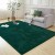 Dywan do salonu zielony shaggy 80x140 cm